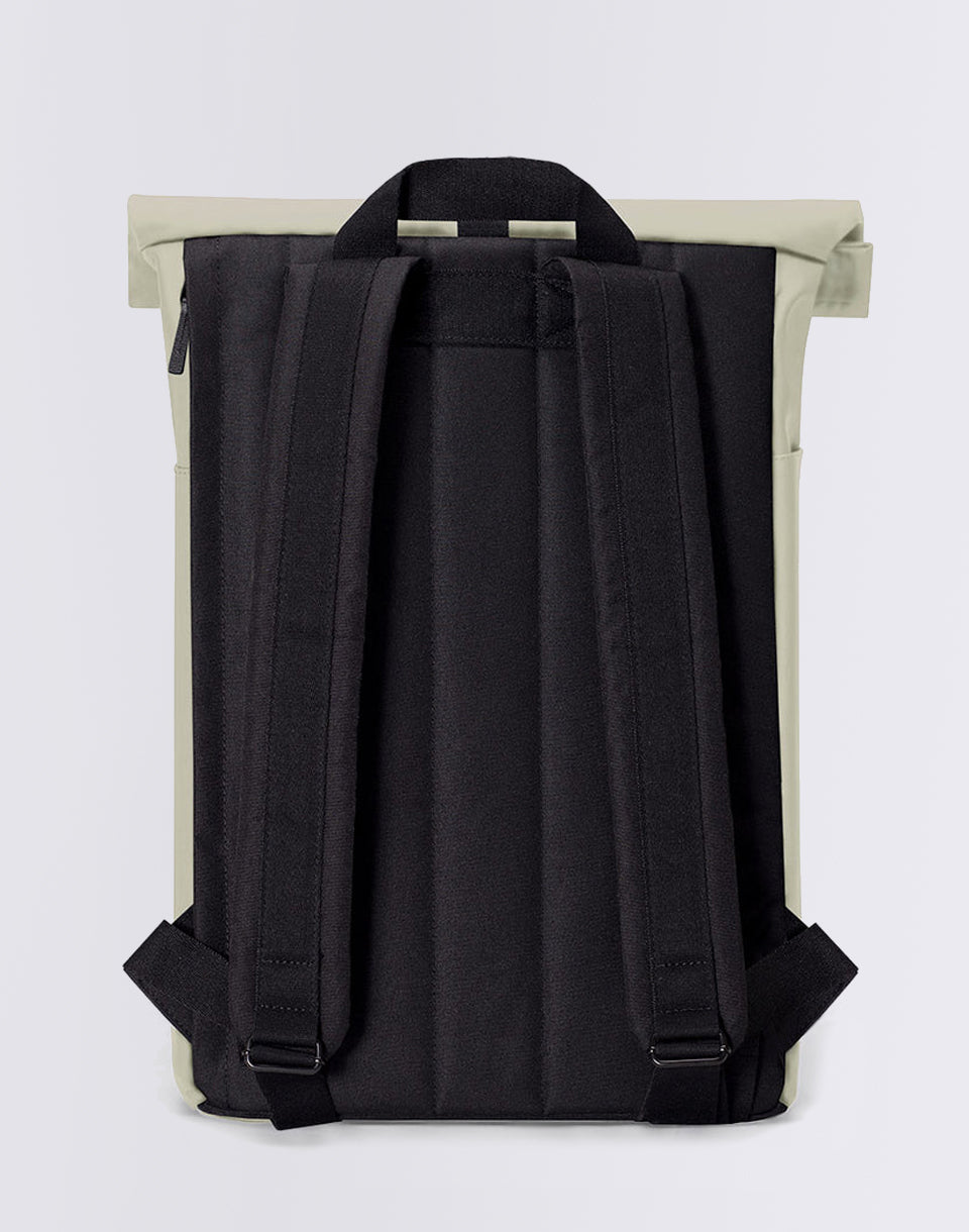 Hajo medium