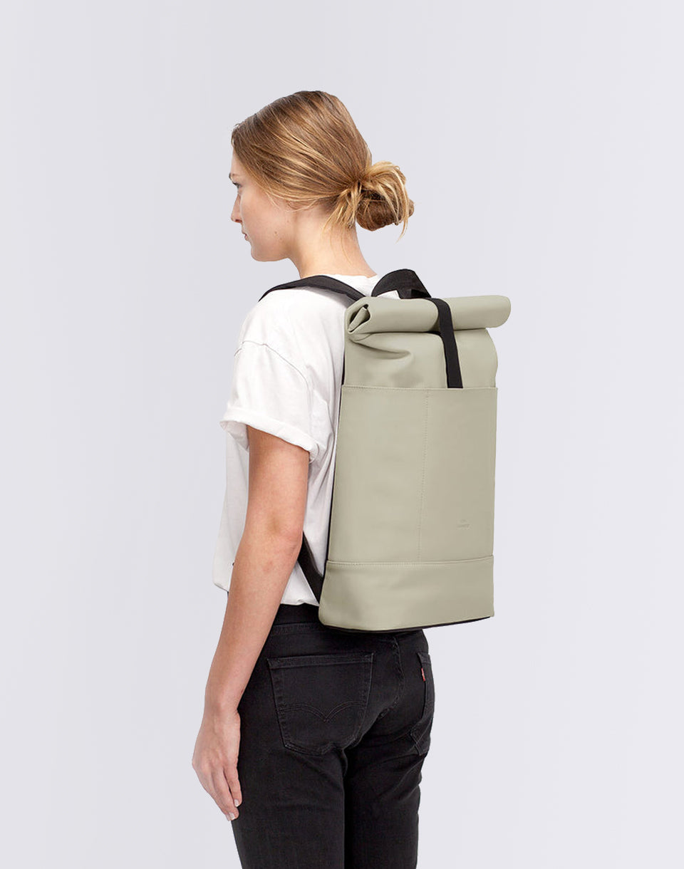 Hajo medium