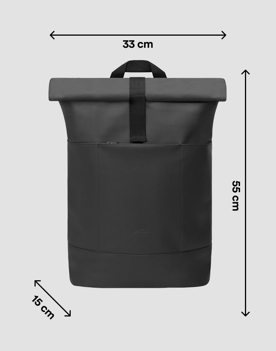 Hajo Large