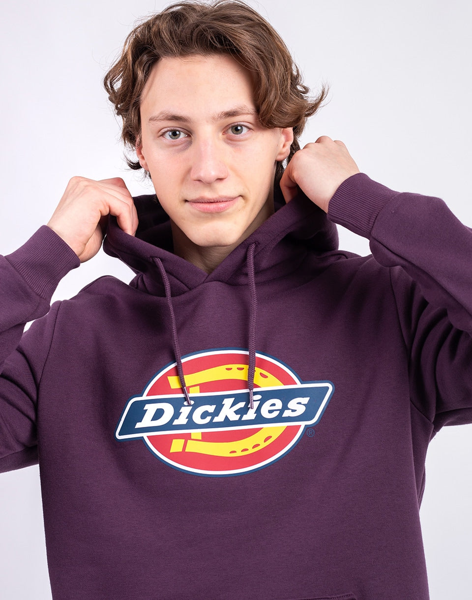 Icon Logo Hoodie