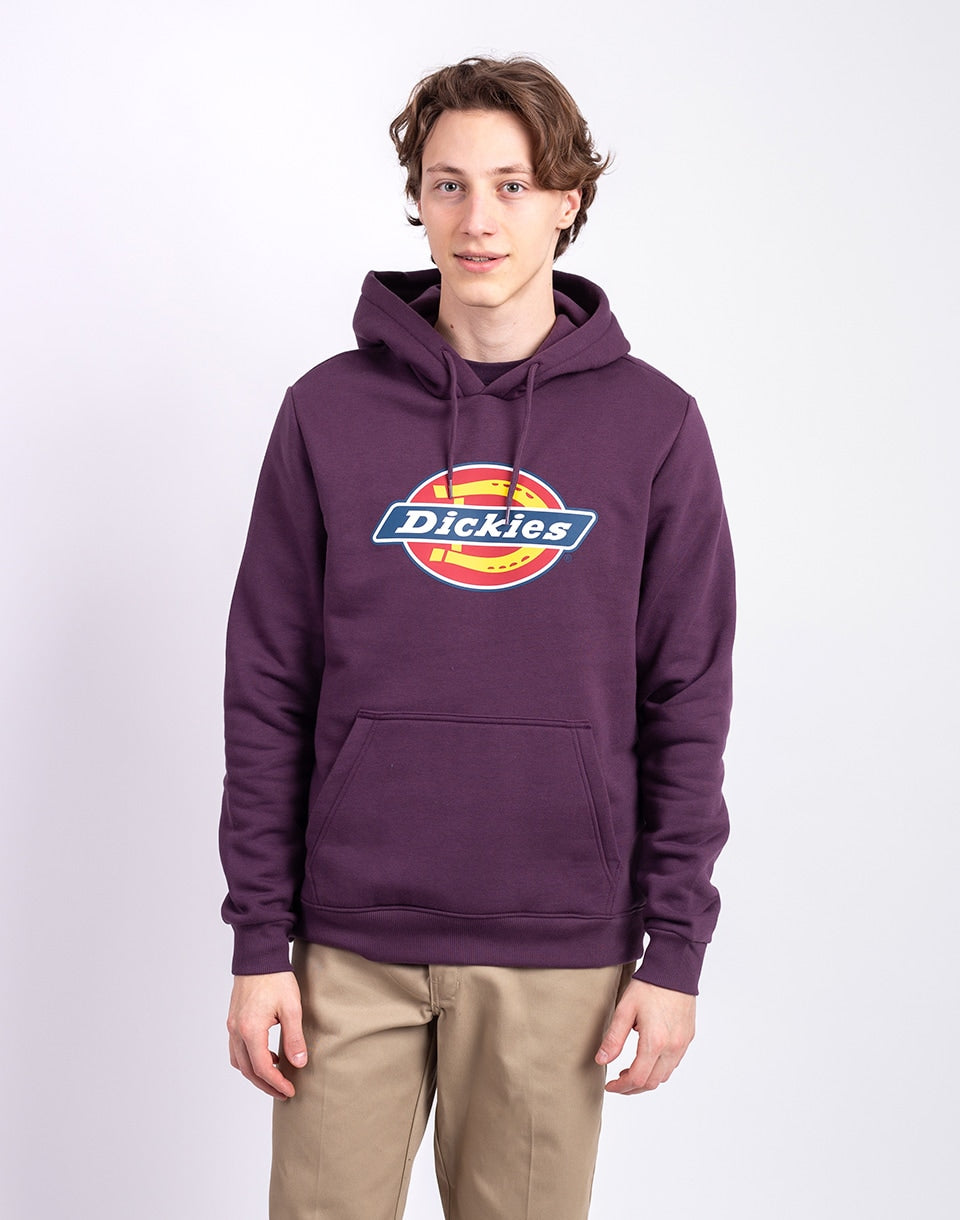Icon Logo Hoodie
