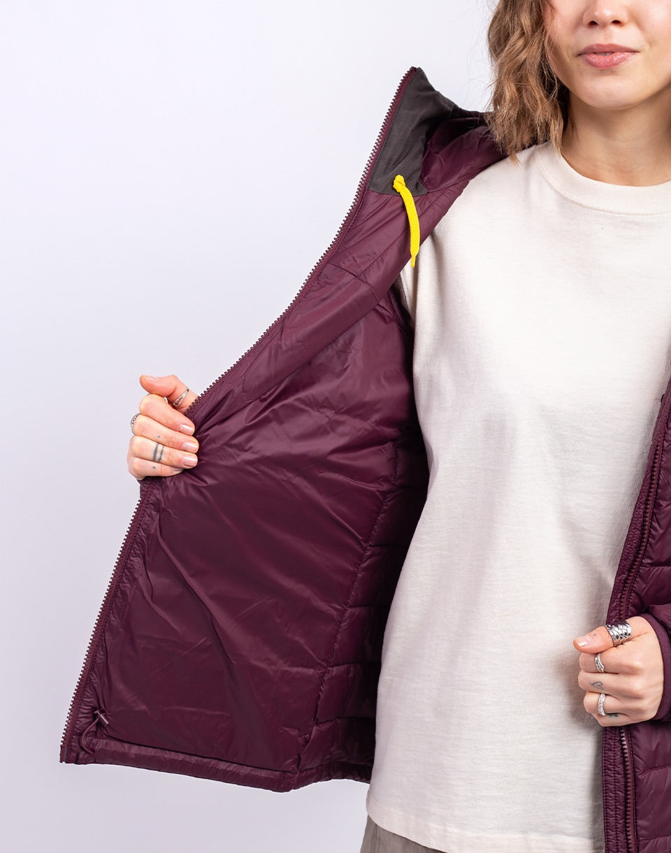 Expedition Pack Down Hoodie W