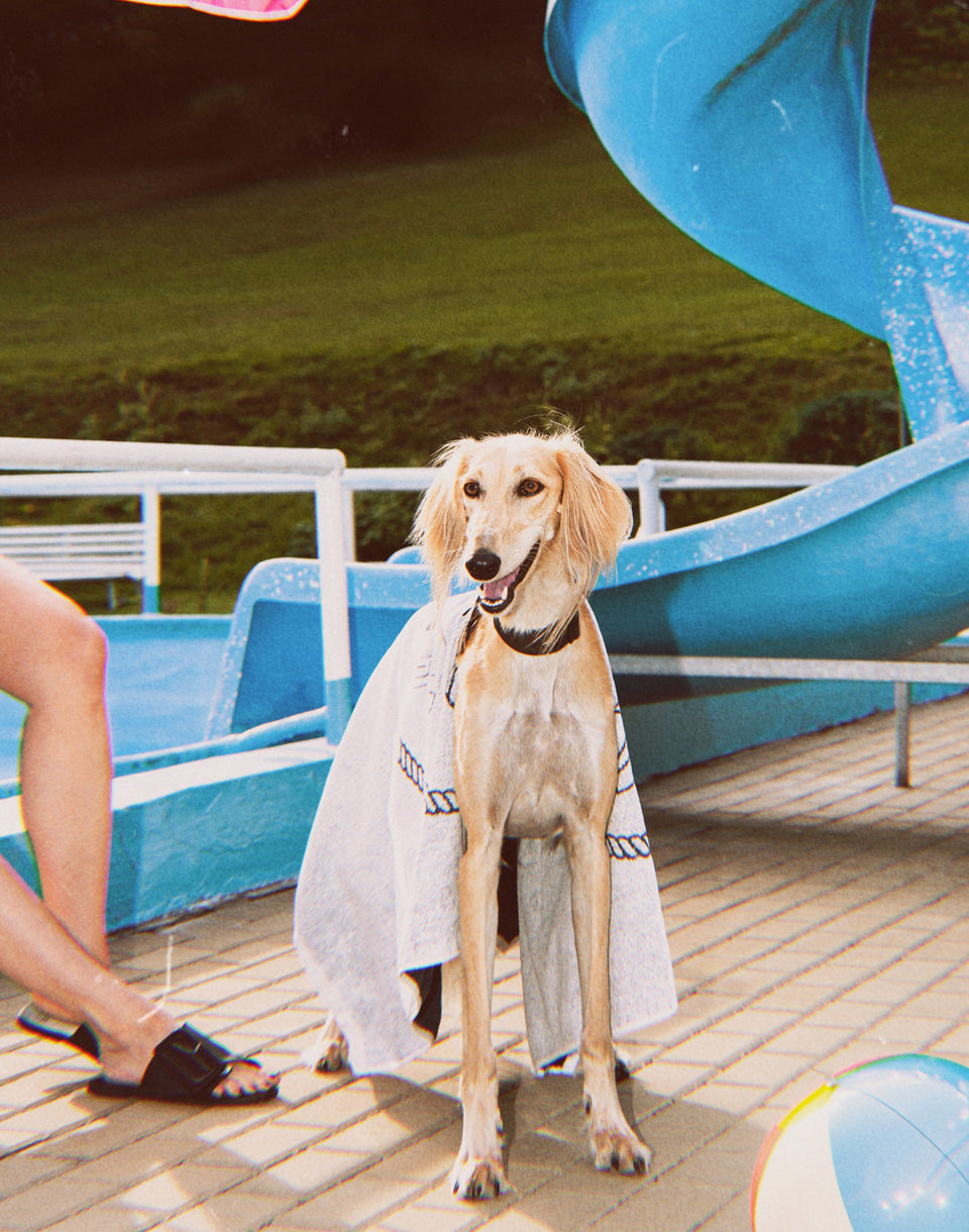 Šampon pro psy 300 ml