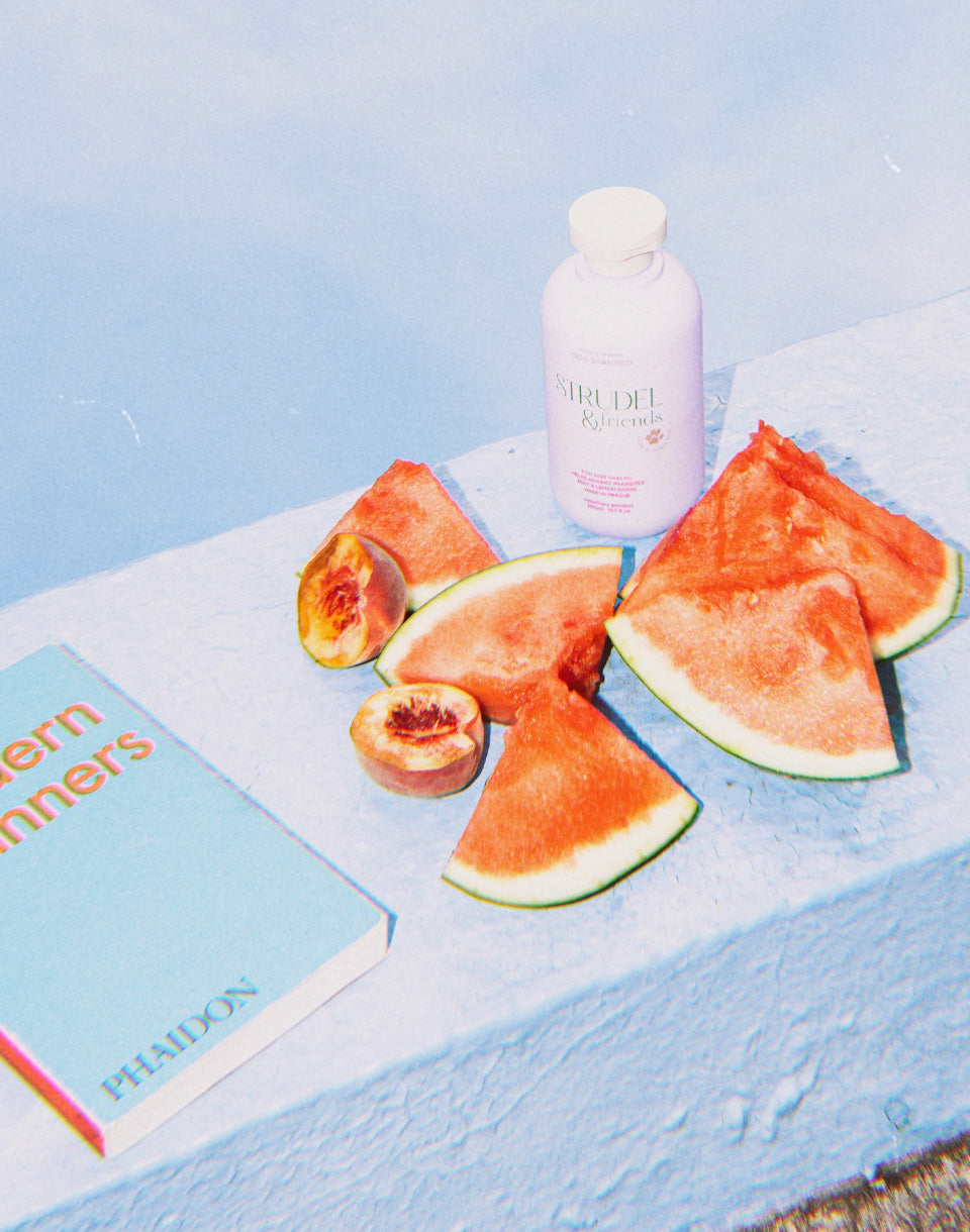 Šampon pro psy 300 ml