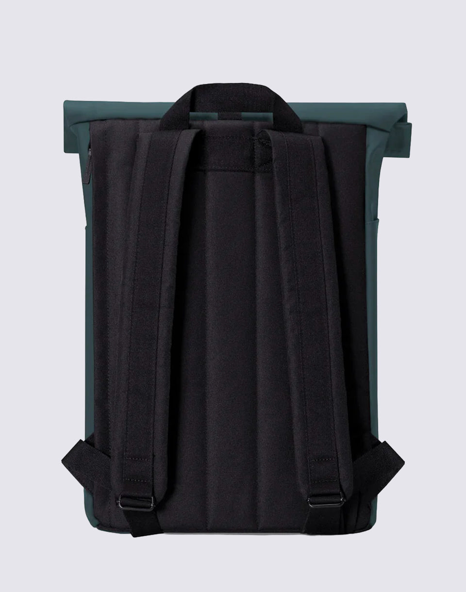 Hajo Medium