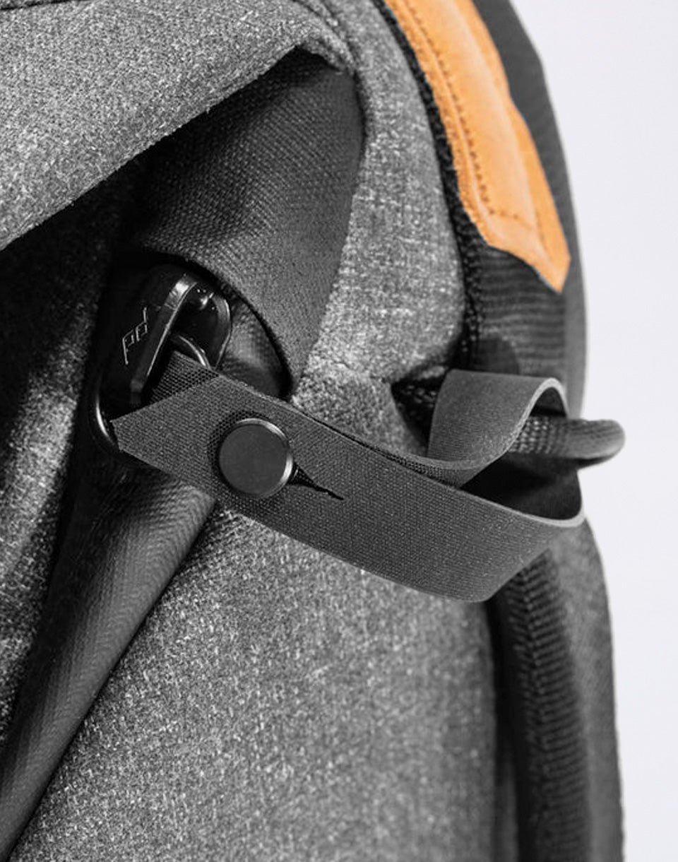 Everyday Backpack 20L v2