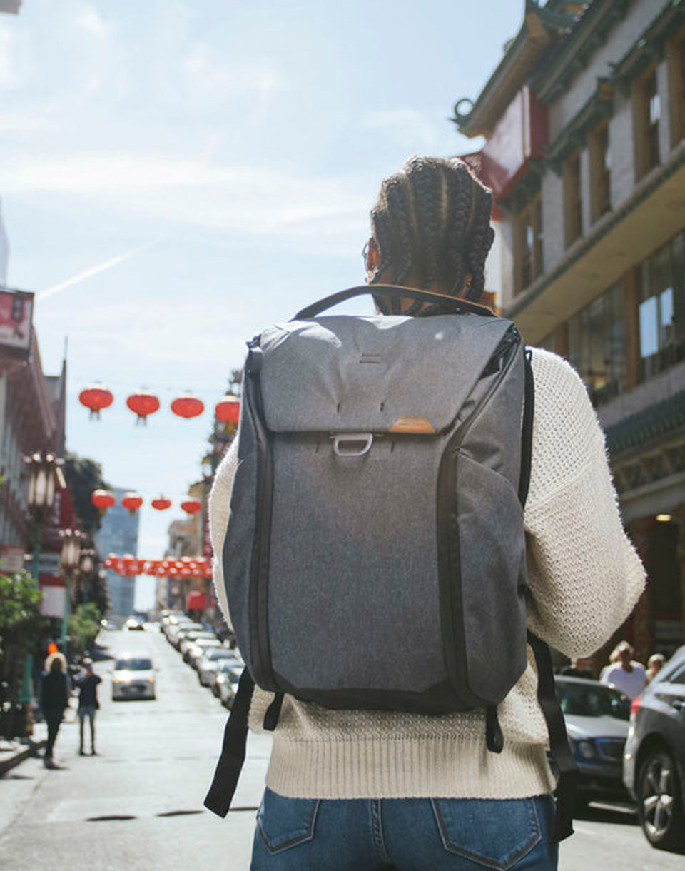 Everyday Backpack 20L v2