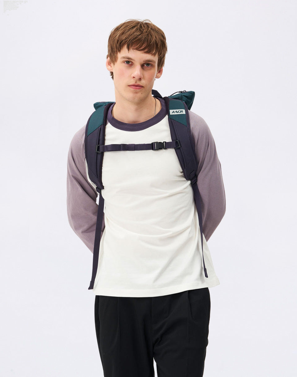 Day Pack FLX