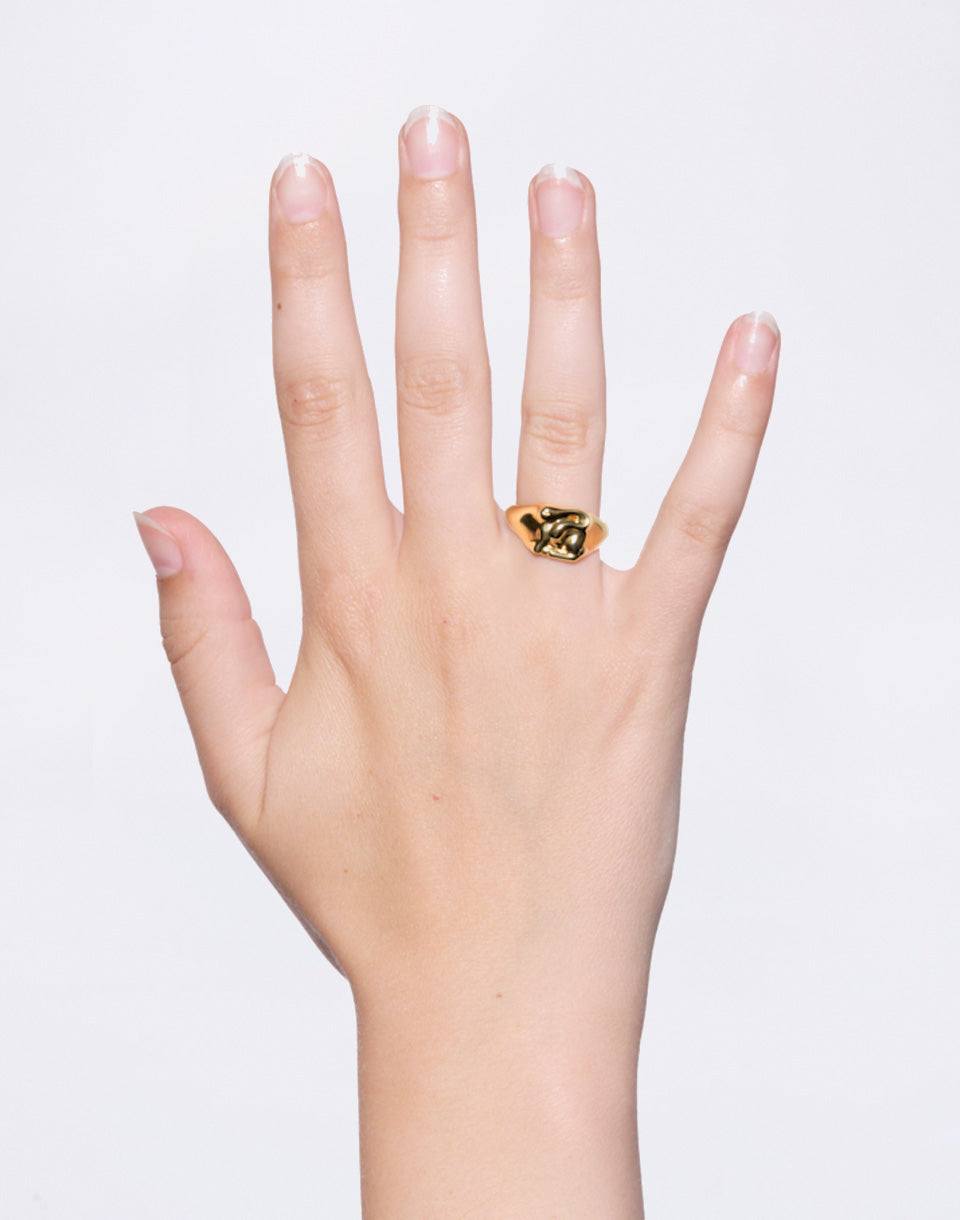 Swan Mini Signet Ring Gold