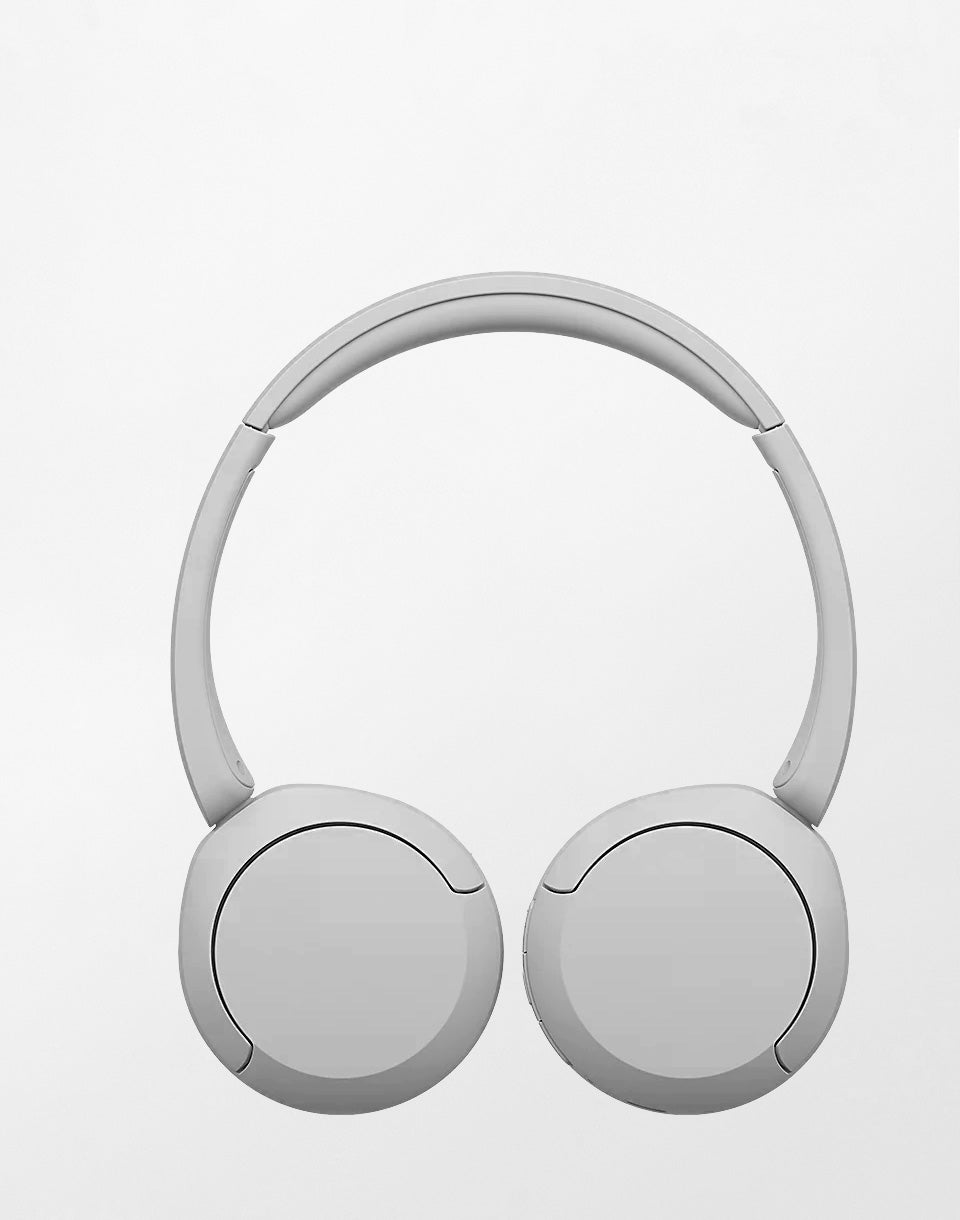 Bluetooth WH-CH520