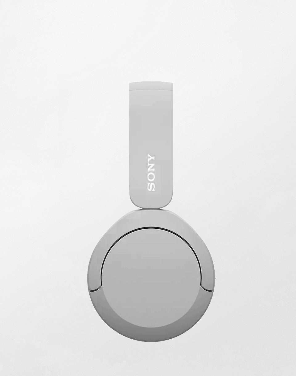 Bluetooth WH-CH520