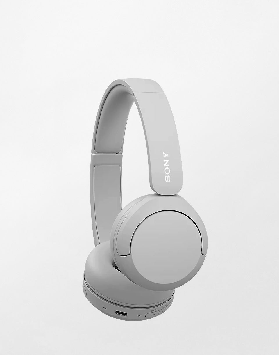 Bluetooth WH-CH520