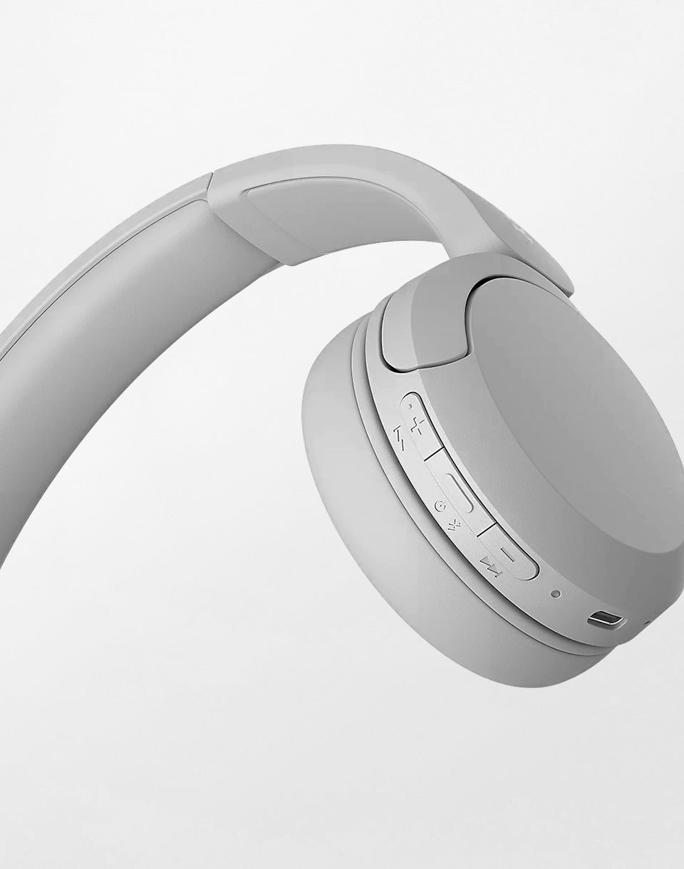 Bluetooth WH-CH520