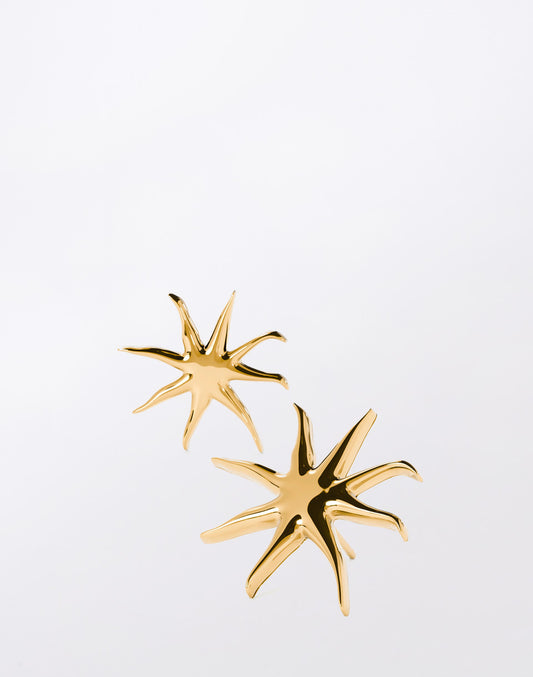 Náušnice Starfish Studs