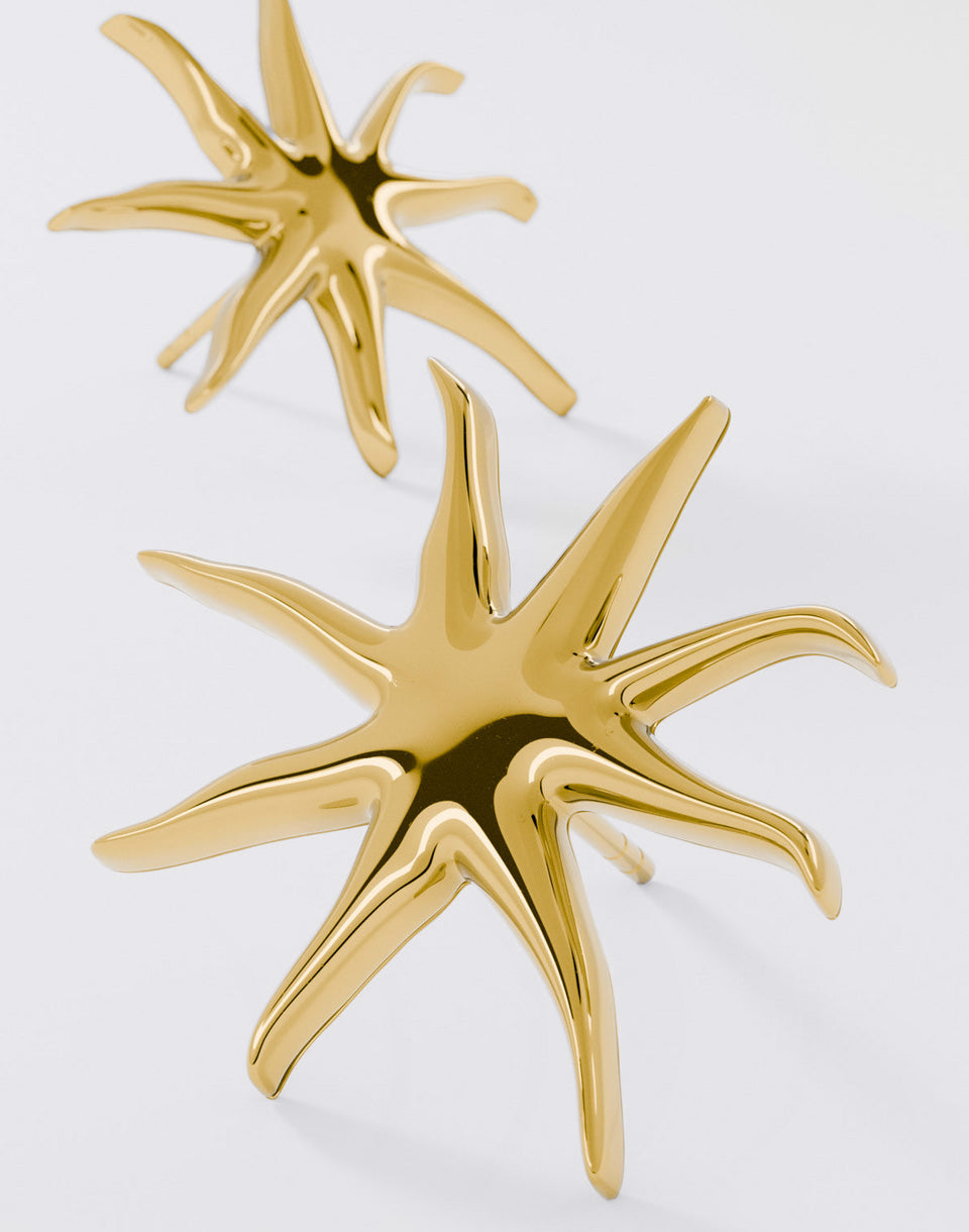 Náušnice Starfish Studs