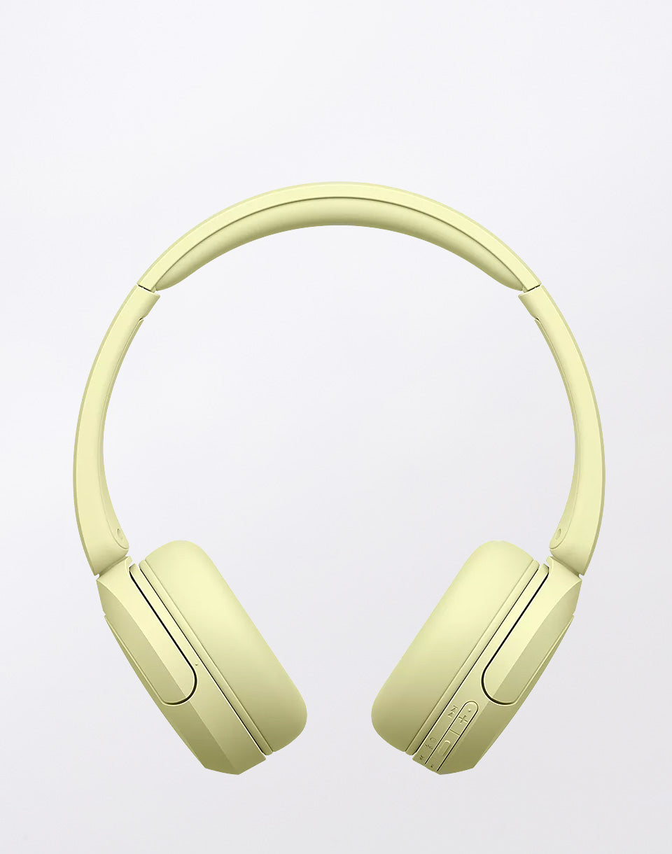 Bluetooth WH-CH520