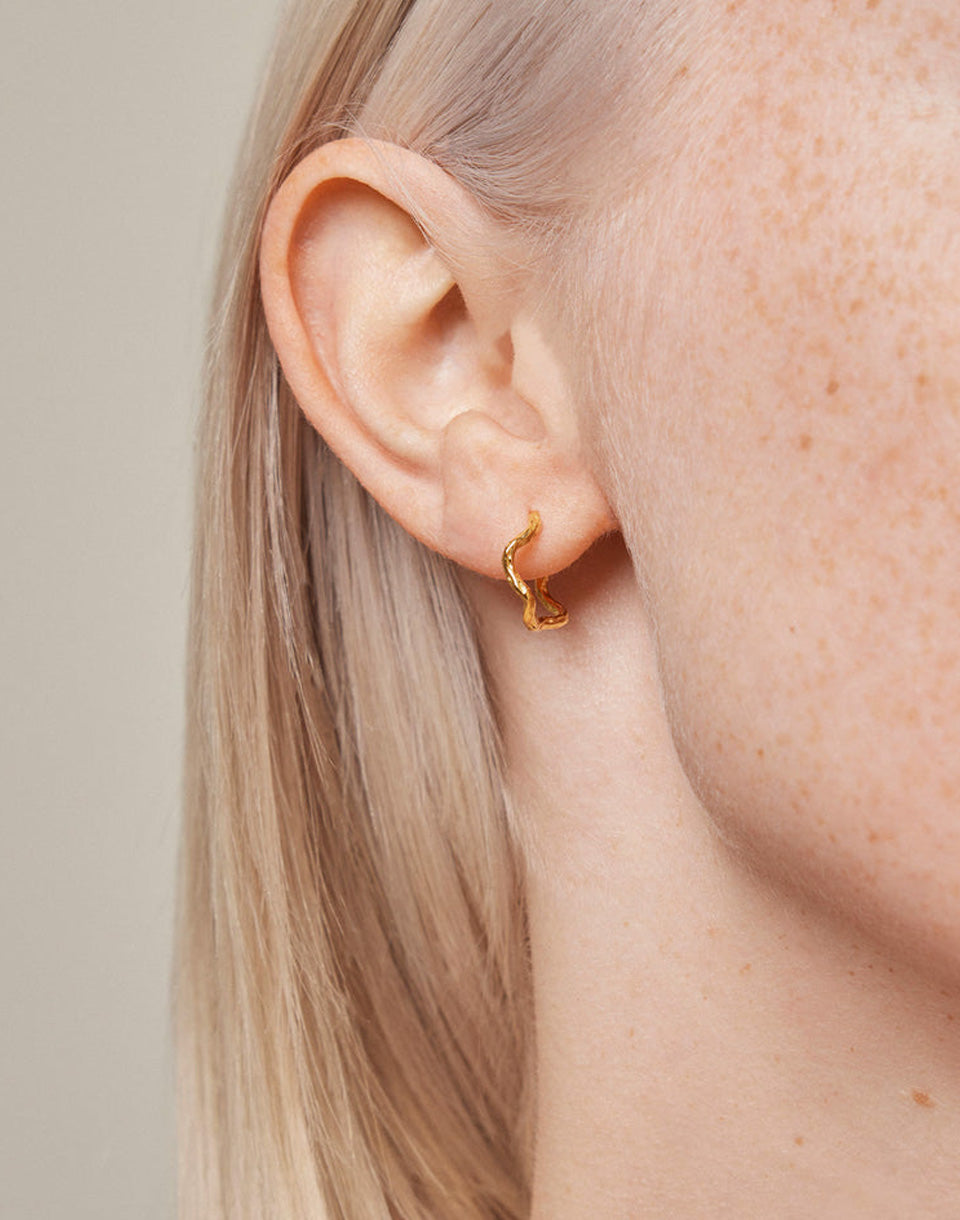 Hoops, Holly Large