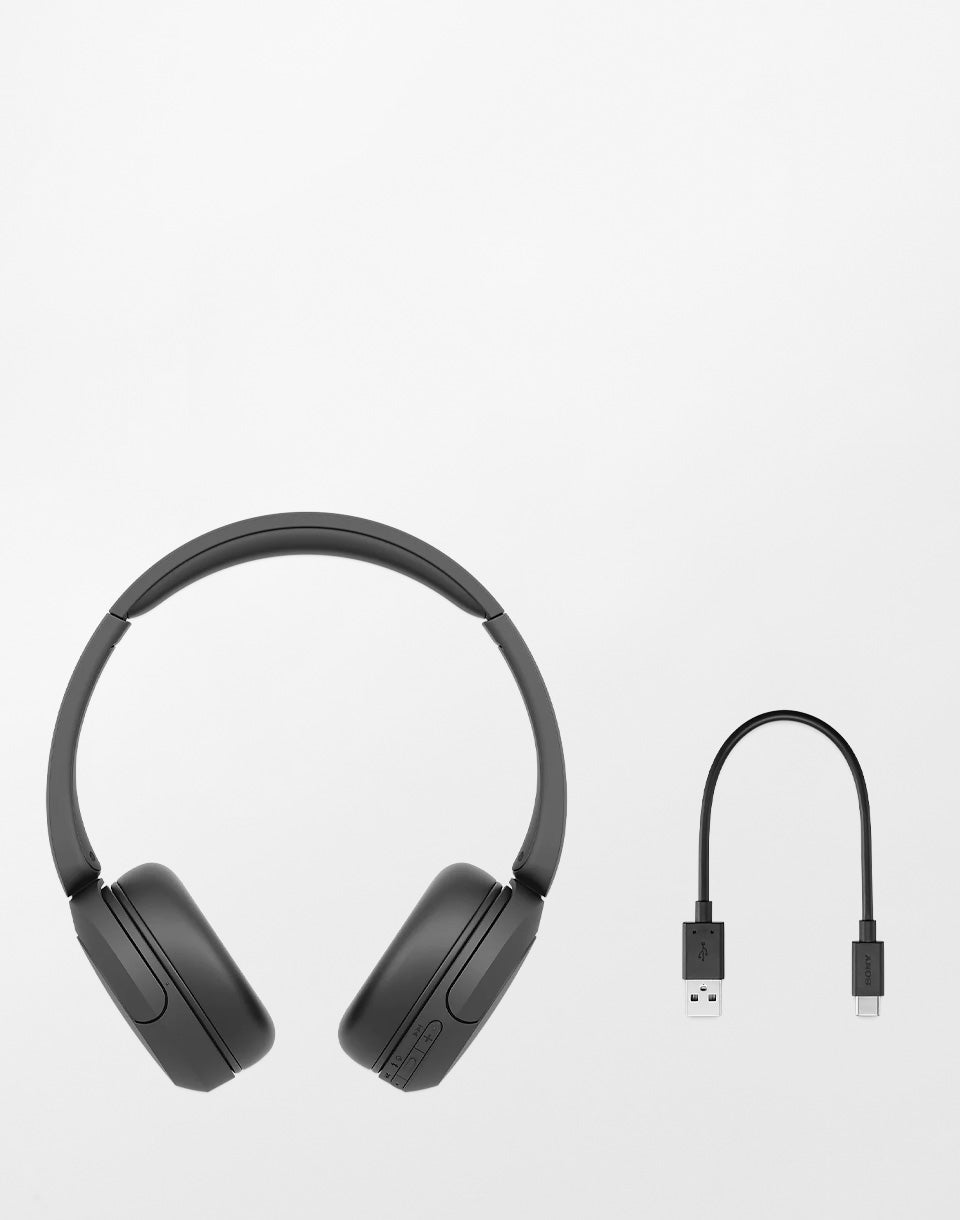 Bluetooth WH-CH520