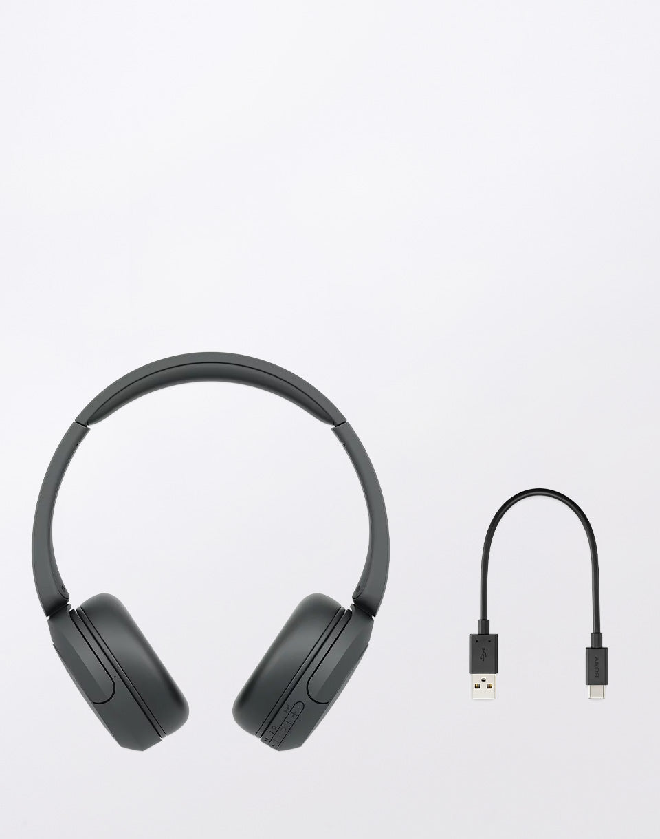 Bluetooth WH-CH520