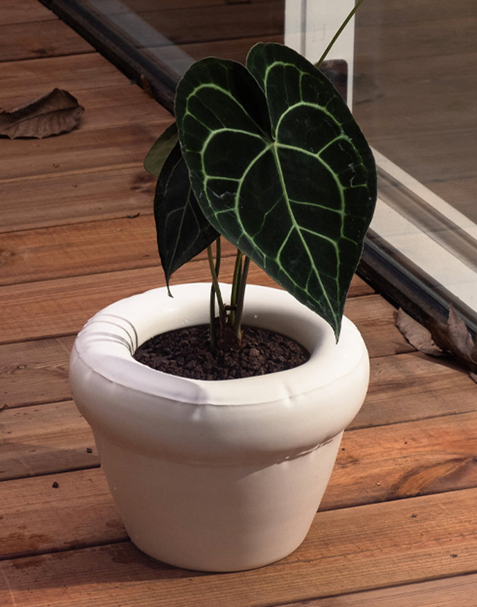 Planter PIERRE