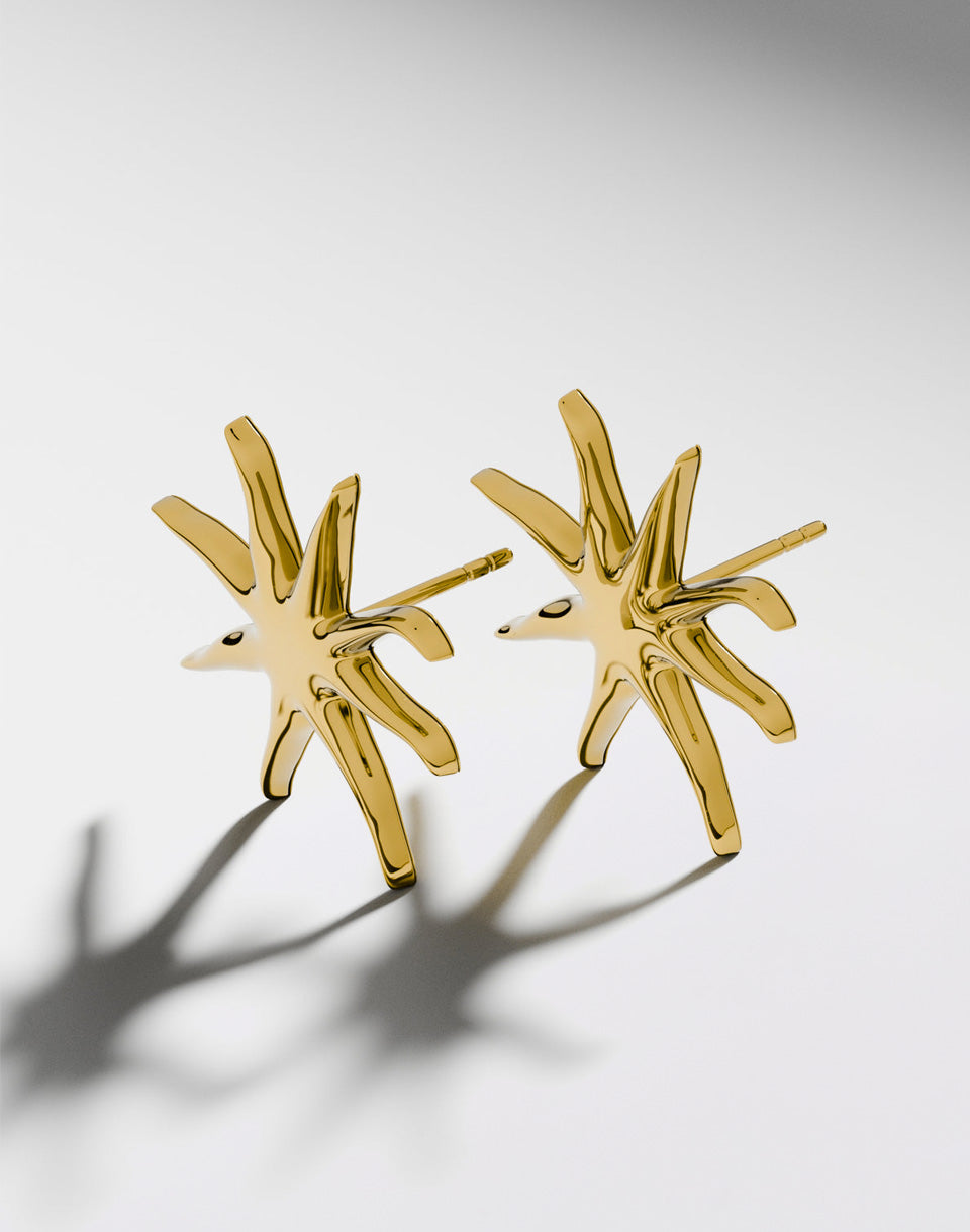 Náušnice Starfish Studs