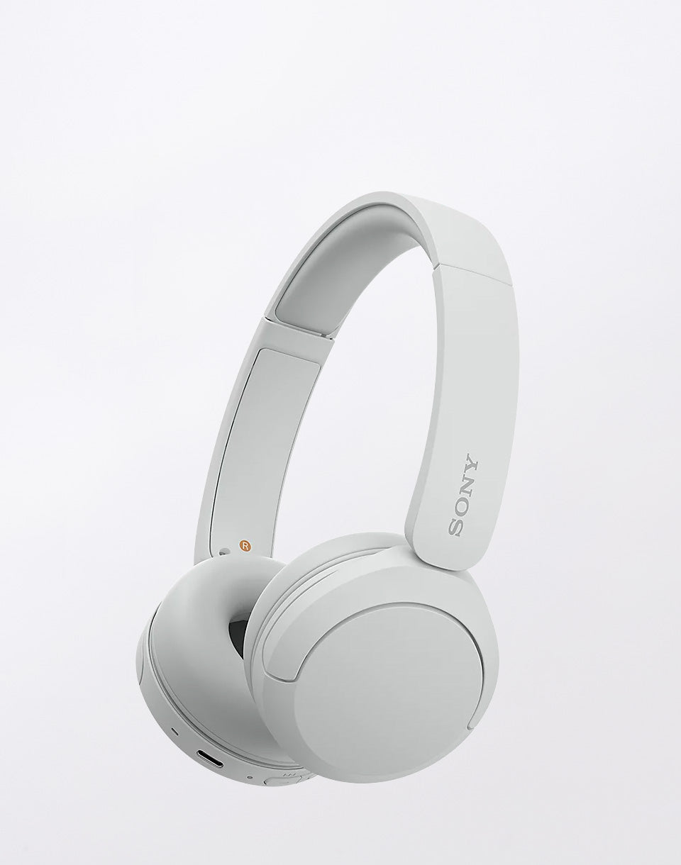 Bluetooth WH-CH520