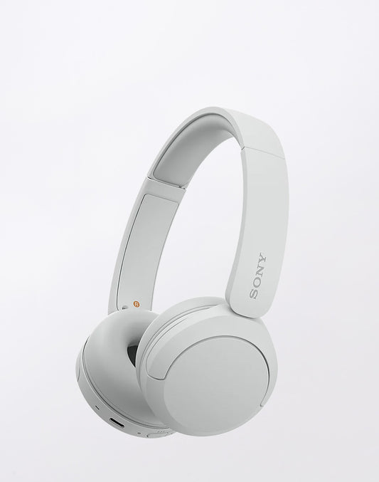 Bluetooth WH-CH520
