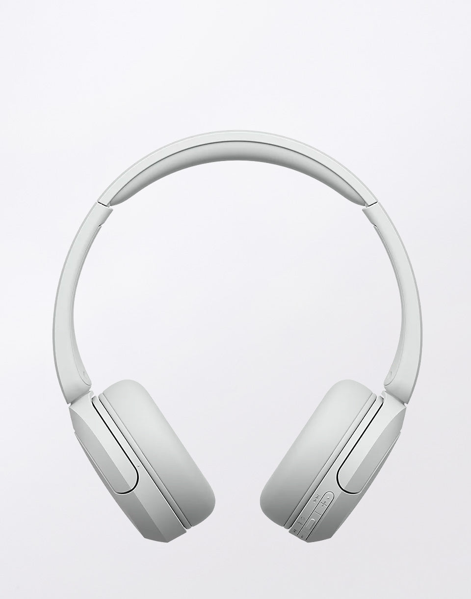 Bluetooth WH-CH520